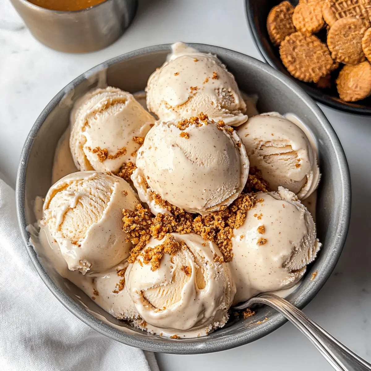 cookie butter ice cream